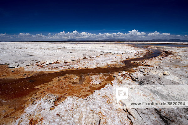 Schwefelquelle  Salzsee Salar de Uyuni  Uyuni  Bolivien  Südamerika