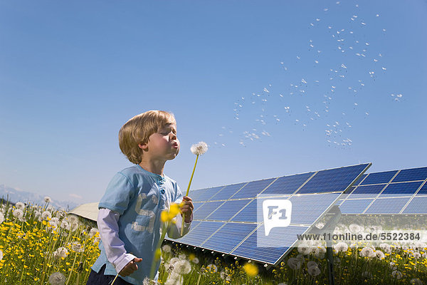 Junge im Feld mit Solarzellen