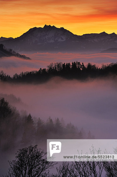 Nebelstimmung im Licht der Dämmerung mit Blick auf den Pilatus  Zug  Schweiz  Europa