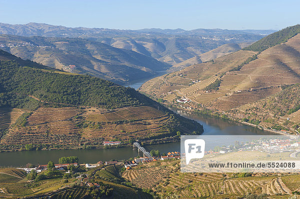 Rio Douro  Duero  mit Portwein-Weinbergen  Alto Douro  UNESCO Weltkulturerbe  Tras-os-Montes  Portugal  Europa