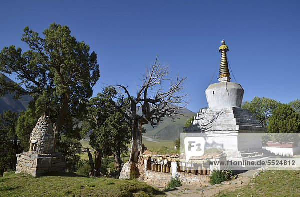 Tibetischer Buddhismus  jahrhundertealte Wachholderbäume und Stupa  Chörten in den Bergen von Kloster Reting  Mount Gangi Rarwa  Himalaya  Bezirk Lhundrup  Zentraltibet  Tibet  China  Asien