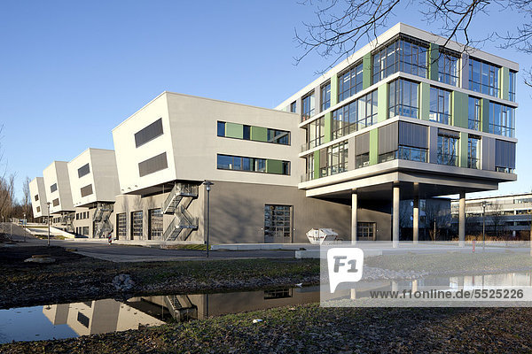 Fachhochschule Gelsenkirchen  Erweiterungsbau  Gelsenkirchen  Ruhrgebiet  Nordrhein-Westfalen  Deutschland  Europa  ÖffentlicherGrund