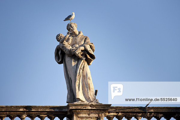 Eine von 144 Heiligenstatuen auf den Kolonnaden des Petersplatzes  mit einer Möwe auf dem Kopf  Rom  Italien  Europa