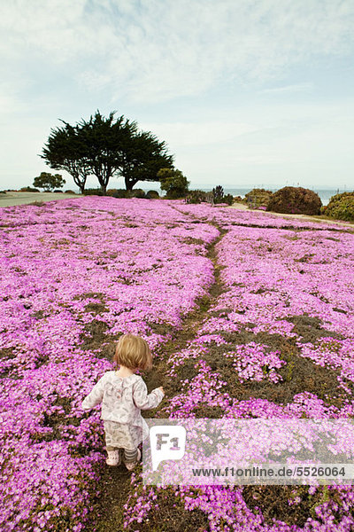 Kleinkind zu Fuß durch rosa Blüten