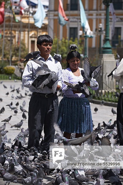 Einheimische posieren mit Tauben  Plaza Murillo  La Paz  Bolivien