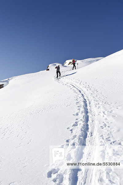 Snowshoers during the ascent to Uribrutto Mountain above the Passo Valles  Dolomites  Trentino  Italy  Europe