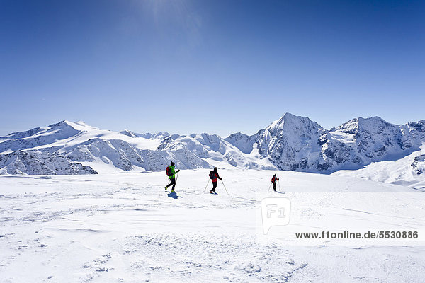 Skitourengeher beim Abstieg der hinteren Schöntaufspitze  hinten die Zufallspitze und der Cevedale sowie die Königsspitze und der Zebru  Sulden  Südtirol  Italien  Europa