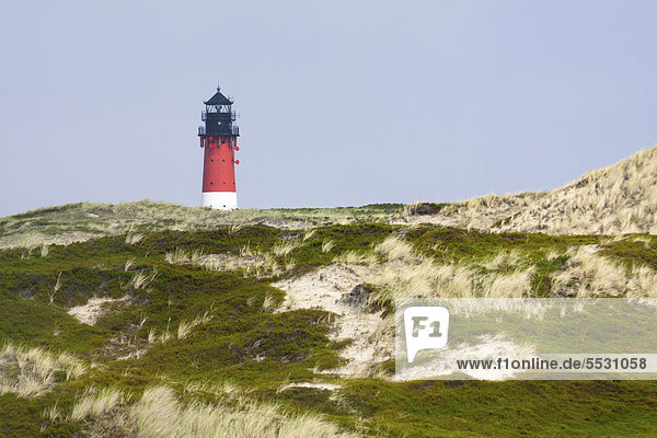 Lighthouse of Hoernum seen from the Odde  Sylt  North Frisia  Schleswig-Holstein  Germany  Europe