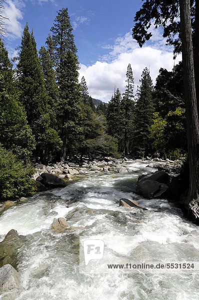 Merced River  Yosemite Nationalpark  Kalifornien  USA  Nordamerika