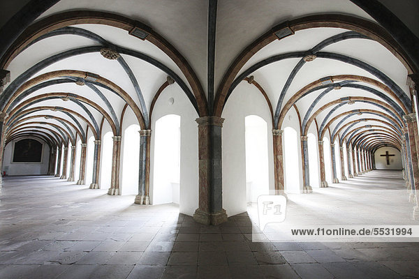 Säulengang  ehemalige Abtei und Schloss Corvey in Höxter  Weserbergland  Nordrhein-Westfalen  Deutschland  Europa