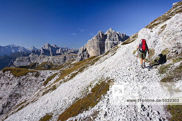 Hiker ascending Paternkofel Mountain  currently below the Buellelejoch Pass  looking towards the Cadini Group  Alta Pusteria  Sesto  Dolomites  Alto Adige  Italy  Europe