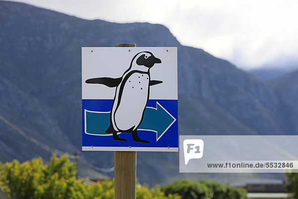Pinguinschild  Hinweisschild  Brillenpinguin  Betty's Bay  Südafrika  Afrika