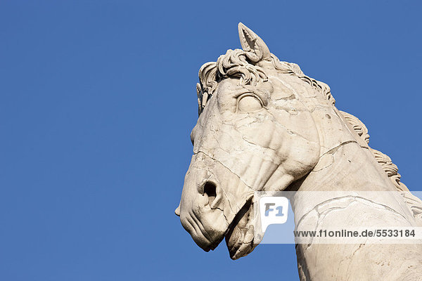 Pferdekopf der antiken Statuen der Dioskuren Castor und Pollux  Kapitolshügel  Piazza Campidoglio  Rom  Italien  Europa