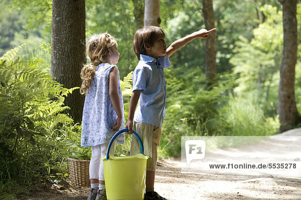 Kinder erkunden gemeinsam den Wald