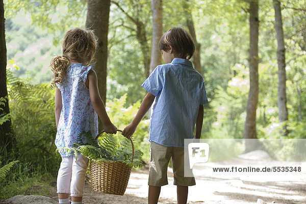 Children walking together in woods  carrying basket of fern fronds