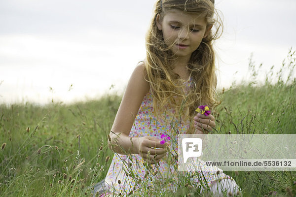 Girl picking wildflowers