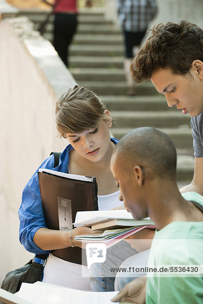 Friends studying together on campus