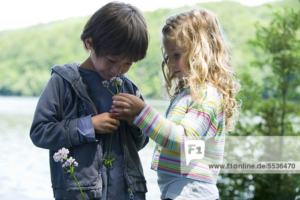 Kinder  die im Freien zusammen Wildblumen riechen.