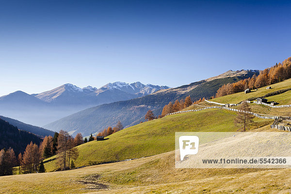 Blick in das Gedrumtal  beim Abstieg von der Gedrumalm oberhalb von Reinswaldl  hinten das Sarntal  Südtirol  Italien  Europa