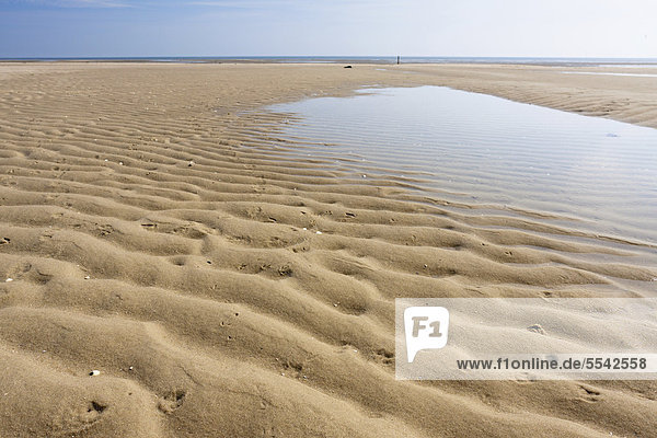 Wavy sea floor near Hoernum on Sylt  North Frisia  Schleswig-Holstein  Germany  Europe  PublicGround