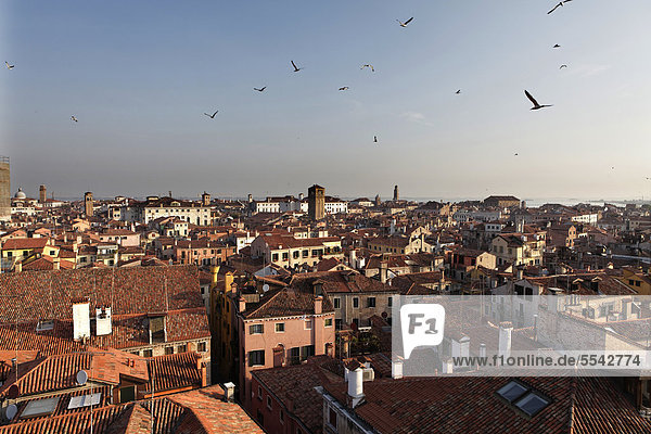 Overlooking the roofs of Venice  UNESCO World Heritage Site  Venetia  Italy  Europe