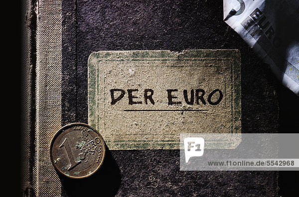 Altes Buch mit Aufschrift Der Euro  Symbolbild Eurokrise