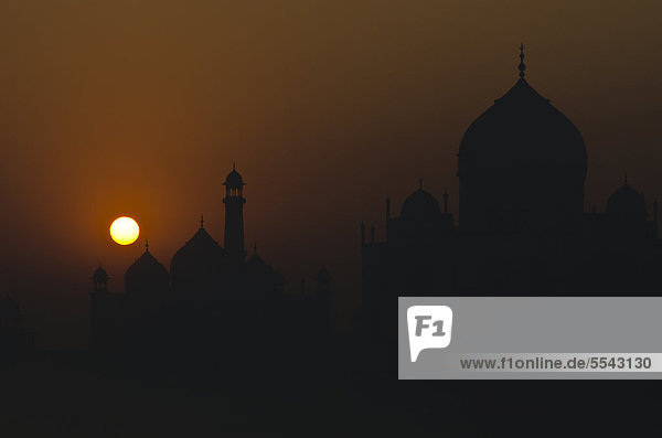 Taj Mahal  UNESCO Weltkulturerbe  bei Sonnenuntergang  Agra  Uttar Pradesh  Indien  Asien