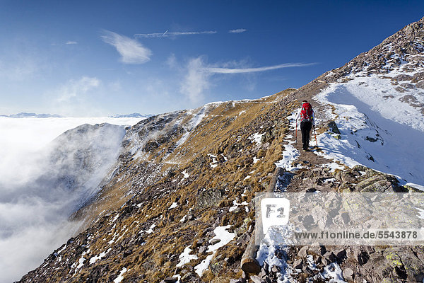 Hiker during the ascent to Grosse Laugenspitze Mountain above the Laugenalm alpine pasture  looking towards the Brenta Mountains  Gampen Pass  Alto Adige  Italy  Europe