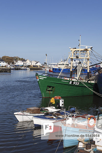 Fischerhafen Greencastle  Inishowen-Halbinsel  County Donegal  Irland  Britische Inseln  Europa  ÖffentlicherGrund