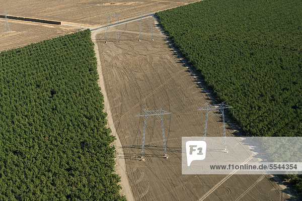 Luftaufnahme von Hochspannungsmasten in der Agrarlandschaft des Central Valley  Fresno  Kalifornien  USA  Nordamerika