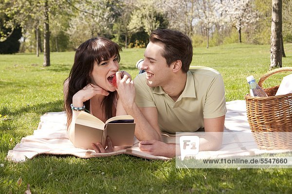 Junges Paar macht ein Picknick auf einer Wiese