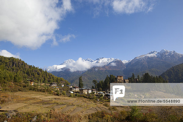 Reisfelder und Dorf im Paro-Tal  Bhutan