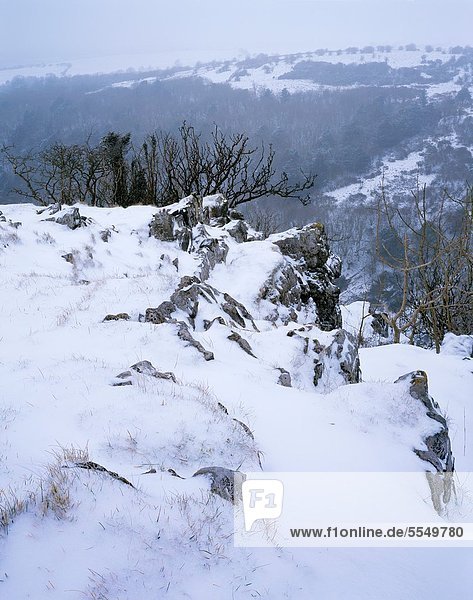 Großbritannien  Hügel  Schneeflocke  Cheddarkäse  Schlucht  England  Somerset