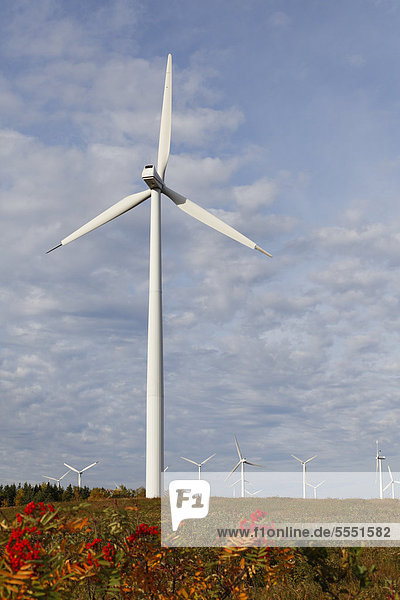 Windturbine Windrad Windräder Gaspésie Kanada Quebec