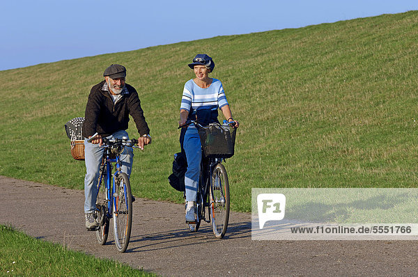 Cyclists on a bike path  East Frisia  Lower Saxony  Germany  Europe