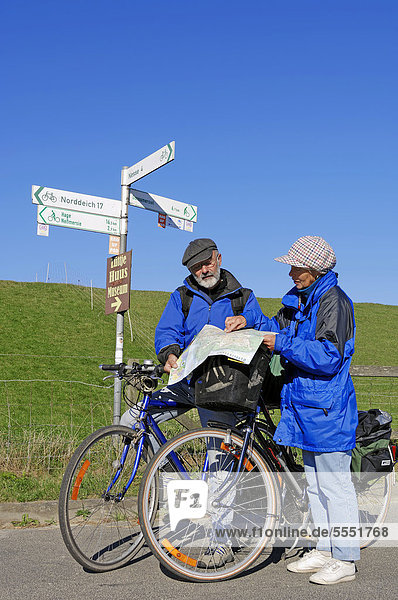 Fahrradfahrer  Radfahrer lesen Landkarte  Radweg am Deich bei Nesse  Ostfriesland  Niedersachsen  Deutschland  Europa