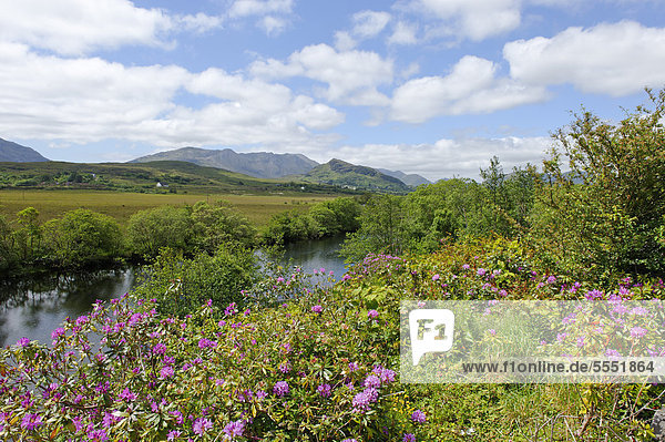 Landschaft in Joyce Country zwischen Leenane und Maan  County Galway  Irland  Europa