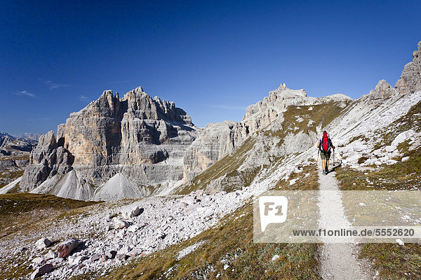 Hikers below the Buellelejoch pass  ascending the Paternkofel behind  Sexten  South Tyrol  Dolomites  South Tyrol  Italy  Europe