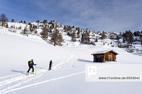 Skitourengeher beim Aufstieg zum Sattele oberhalb von Reinswald im Sarntal  Südtirol  Italien  Europa