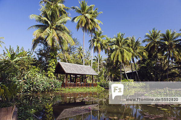 Seerosenteich in den Wetlands  Luang Prabang  Laos  Indochina  Asien