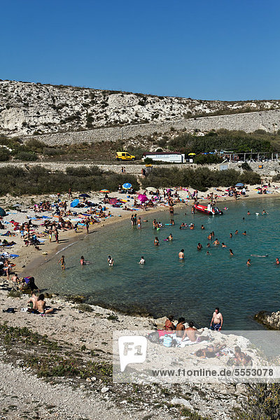 Beach  Calanques de Saint Esteve  Ile Ratonneu  Frioul Archipelago  Marseille or Marseilles  Provence-Alpes-Cote d'Azur  France  Europe