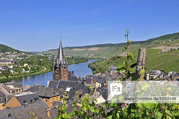 Weinberge bei Bernkastel Pfarrkirche St Michael Bernkastel-Kues Rheinland-Pfalz Deutschland Europa ÖffentlicherGrund