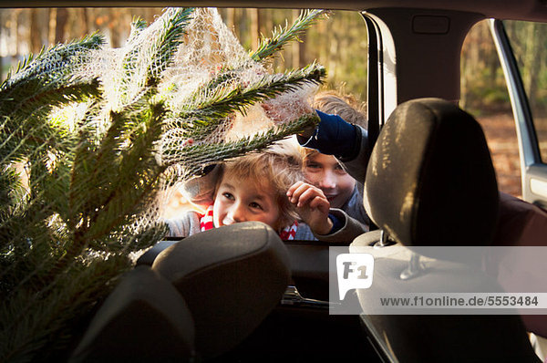 Zwei jungen Blick auf Weihnachtsbaum im Auto