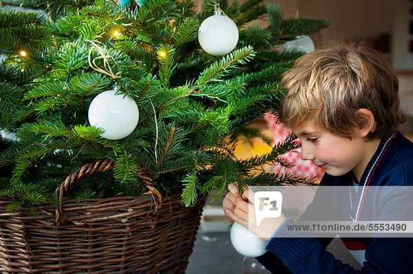Junge schmückt Weihnachtsbaum mit Kugeln zu Hause