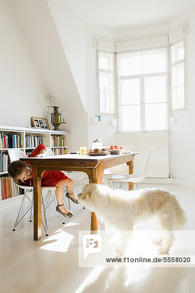Girl playing with dog at kitchen table