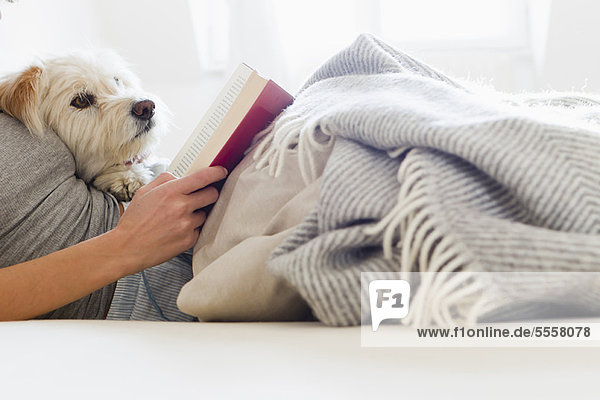 Woman reading in bed with dog