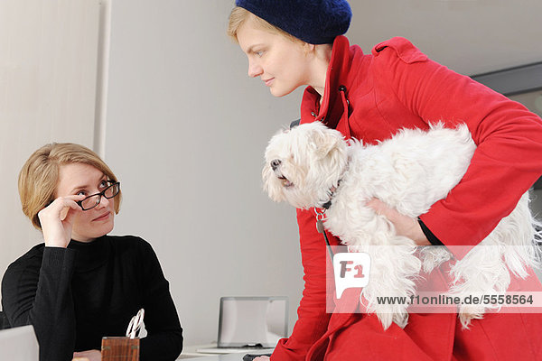 Geschäftsfrau  tragen  Hund  Büro