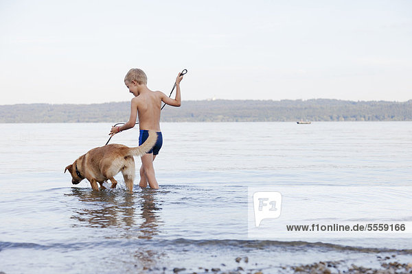 Junge waten mit Hund am Strand