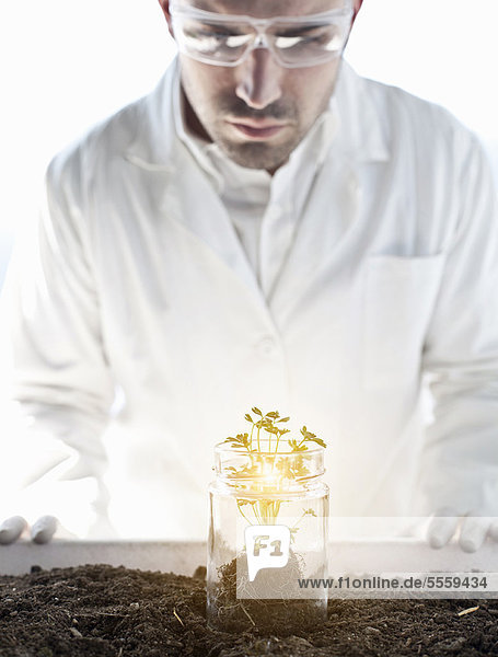 glühend Glut Wissenschaftler Pflanze Untersuchung