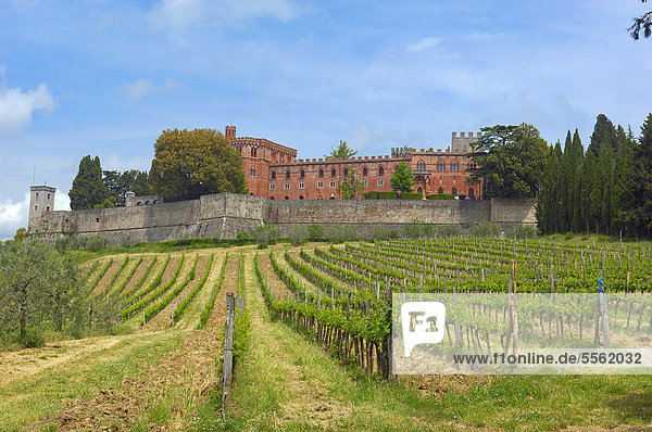 Ricasoli Weingut  Chianti-Region  Castello di Brolio  Schloss Brolio  Provinz Siena  Toskana  Italien  Europa